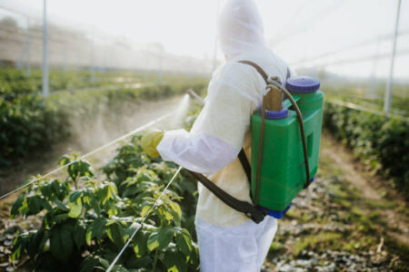 Pesticide Exposure in California Agriculture: Symptoms, Risks & Legal Protections for Farm Workers